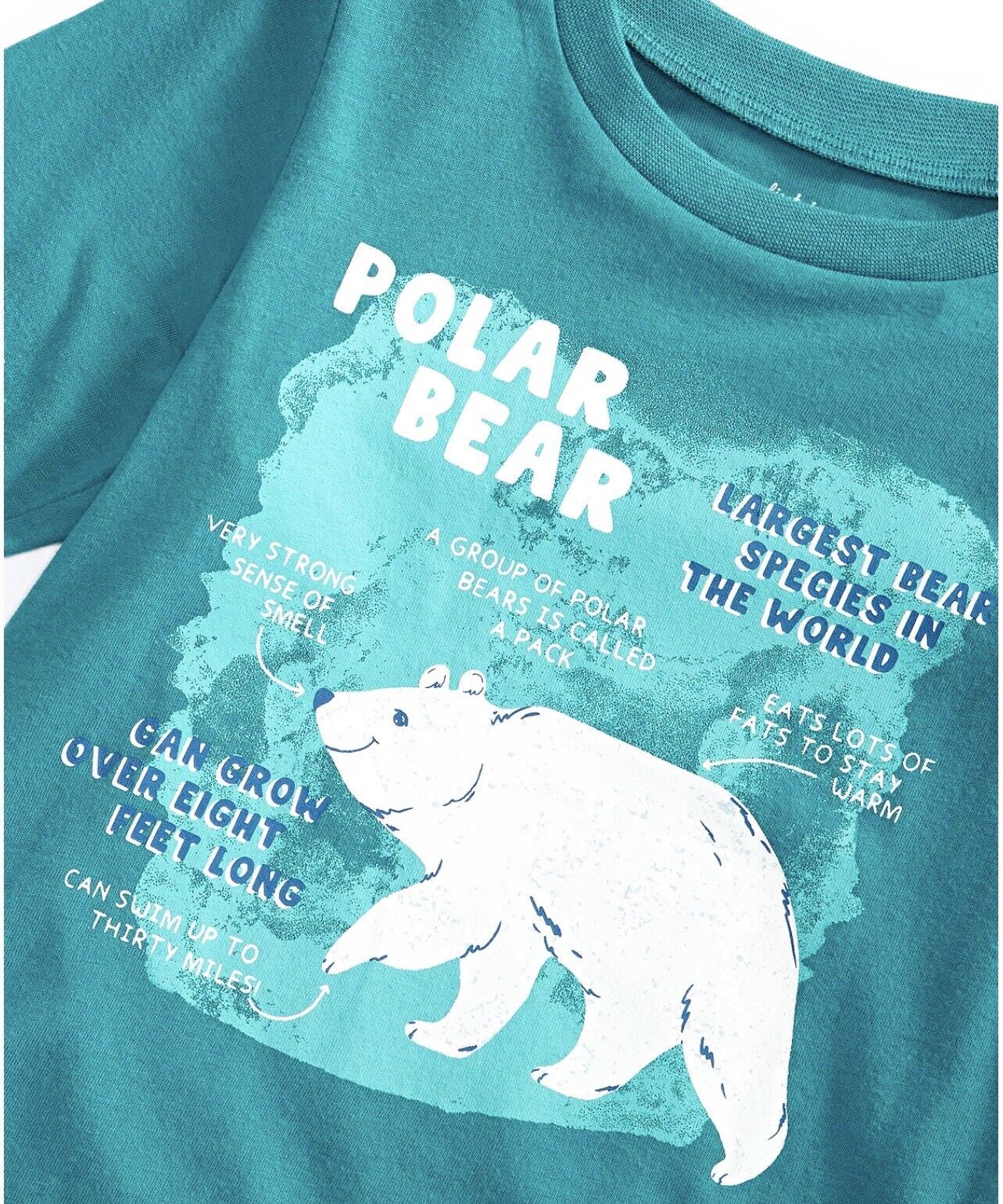 First Impressions Baby Boys Polar Bear Facts Top  Color Harbor Blue Size 18 months